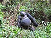 IMG_3025.JPG