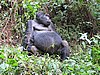 IMG_3028.JPG