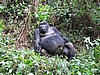 IMG_3031.JPG
