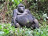 IMG_3039.JPG