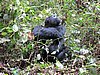IMG_3060.JPG