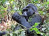IMG_3070.JPG
