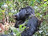 IMG_3071.JPG