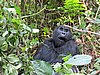 IMG_3072.JPG