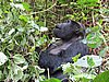 IMG_3075.JPG