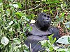 IMG_3077.JPG