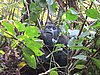 IMG_3092.JPG