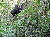 IMG_3104.JPG