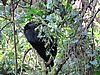 IMG_3107.JPG