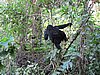 IMG_3109.JPG