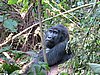 IMG_3114.JPG
