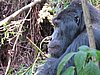 IMG_3118.JPG