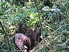 IMG_3119.JPG