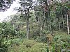 IMG_3121.JPG