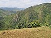 IMG_3122.JPG