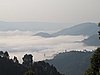 IMG_3135.JPG