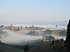 IMG_3139.JPG