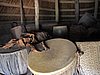 IMG_3157.JPG