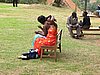 IMG_3175.JPG