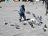 IMG_5623.JPG