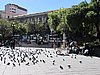 IMG_5626.JPG