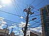 IMG_5672.JPG
