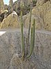IMG_5705.JPG