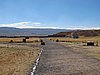 IMG_5802.JPG