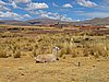IMG_5851.JPG