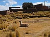 IMG_5857.JPG