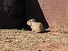 IMG_5870.JPG