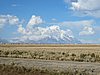 IMG_5879.JPG