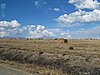 IMG_5880.JPG