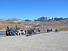 IMG_5900.JPG