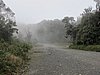 IMG_5925.JPG