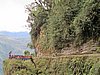 IMG_5929.JPG