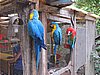 IMG_5933.JPG