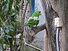 IMG_5935.JPG