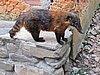IMG_5938.JPG