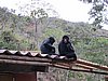 IMG_5939.JPG