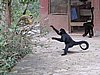 IMG_5941.JPG