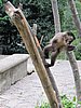 IMG_5947.JPG