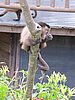 IMG_5948.JPG
