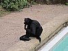 IMG_5949.JPG