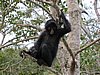 IMG_5950.JPG