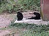 IMG_5951.JPG