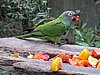 IMG_5954.JPG