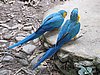 IMG_5955.JPG