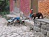 IMG_5956.JPG