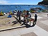 IMG_5978.JPG